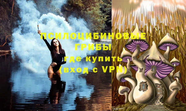 кокс Новозыбков