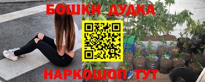 прущие крисы Дубна
