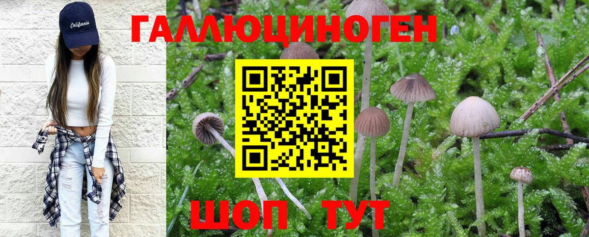 Тулун  Псилоцибиновые грибы мухоморы  Вход с VPN 
