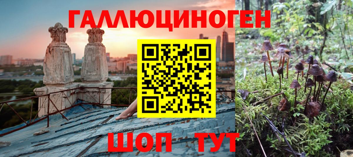 Псилоцибиновые грибы прущие грибы Тулун