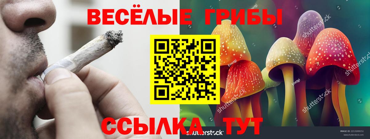 Псилоцибиновые грибы Psilocybine cubensis  Псилоцибиновые грибы Psilocybe  Тулун 